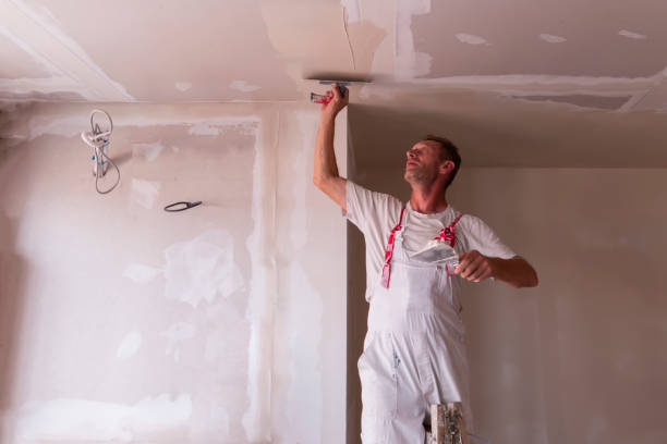 Best Remodeling Drywall  in Spanay, WA